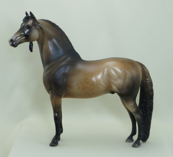 I'M THE BOSS - OOAK Dapple Sooty Dun Morgan with Long Mane 4/15