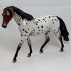 DANCE OF REALITY - OOAK Bay Roan Appaloosa Pony 2/15