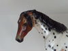 DANCE OF REALITY - OOAK Bay Roan Appaloosa Pony 2/15