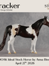 Tracker OOAK Ideal Stock Horse by Anna Rieck DDOOAKs26