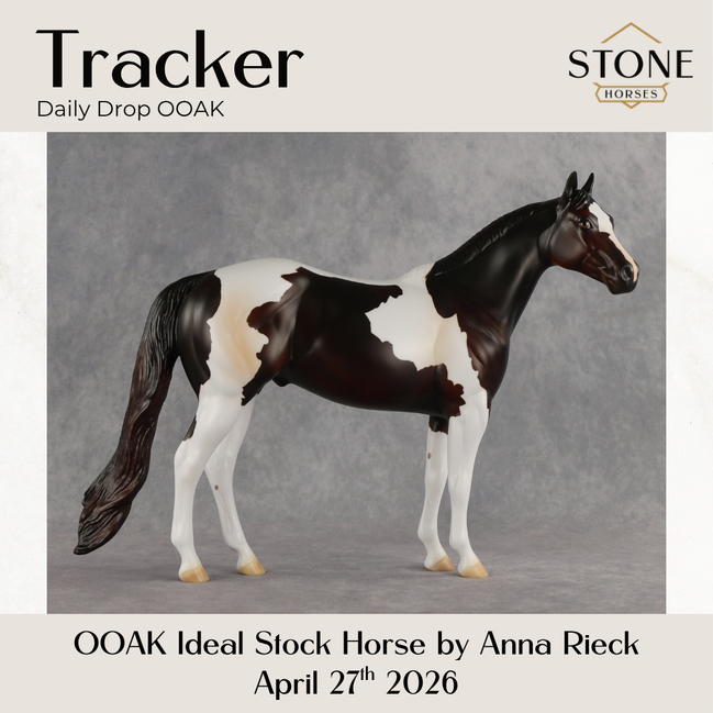 Tracker OOAK Ideal Stock Horse by Anna Rieck DDOOAKs26