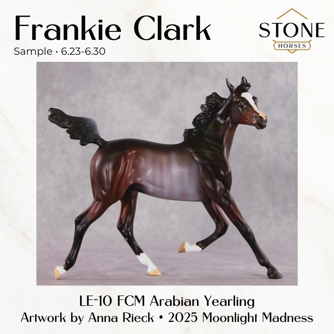 SAMPLE Frankie Clark LE-10 FCM Arabian Yearling by Anna Rieck &amp; Matt Samuels SS0626