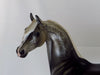 BIG EYES - OOAK Dapple Gray Arabian Horse - 2/15