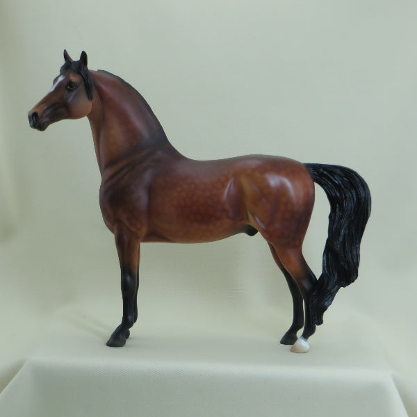 BERRI O - OOAK Dapple Bay Morgan Model Horse with Listening Ear - 4/15