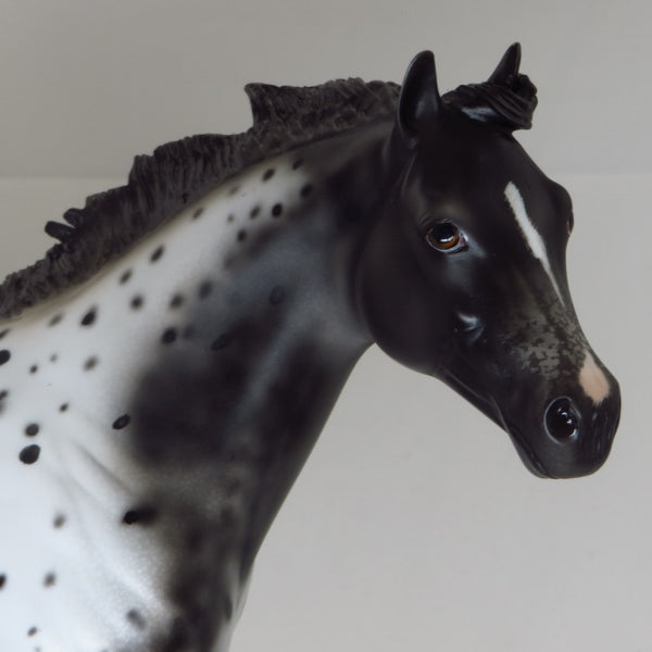 BLACK OR WHITE - OOAK Black Appaloosa 2//15