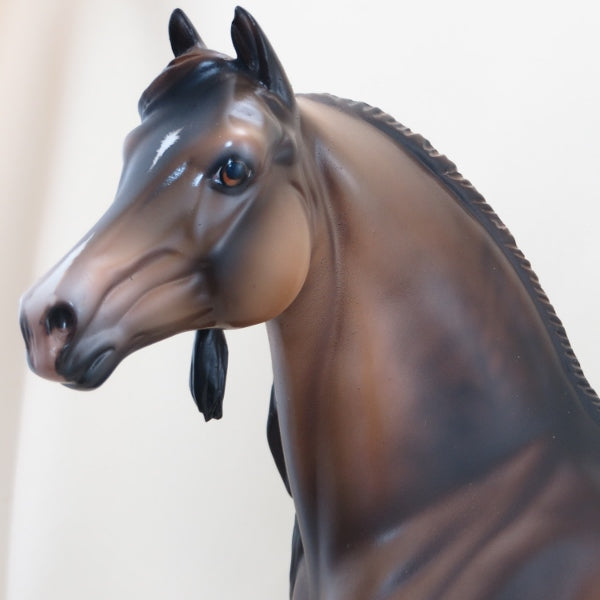 I&#39;M THE BOSS - OOAK Dapple Sooty Dun Morgan with Long Mane 4/15