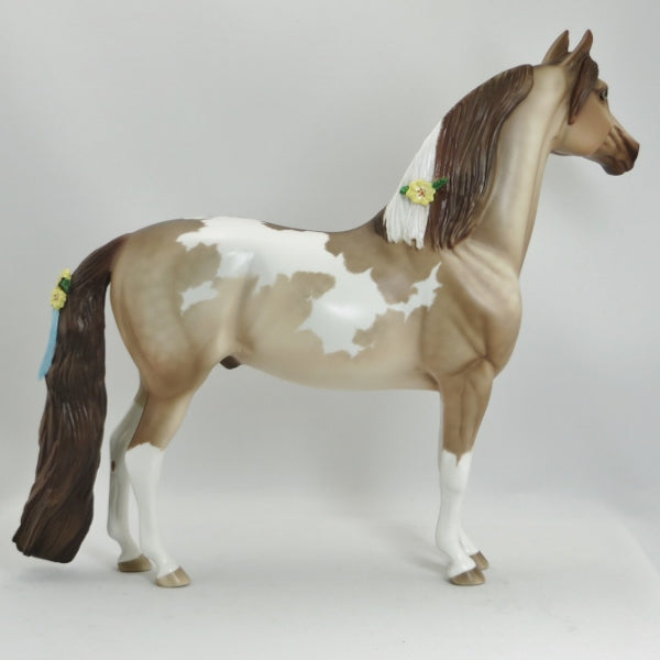 COMMADORE - OOAK Dapple Champagne Overo Pinto Morgan with Flowers by Sheryl Leisure - 5/15