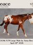 Peace OOAK FCM Large Mule by Anna Rieck DDOOAKs26