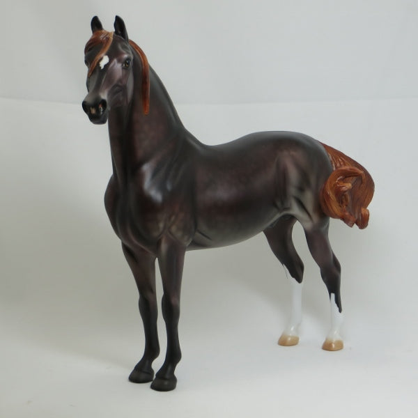 BIO ("BRING IT ON") - OOAK Mulberry Gray Dapple Morgan - 2/15