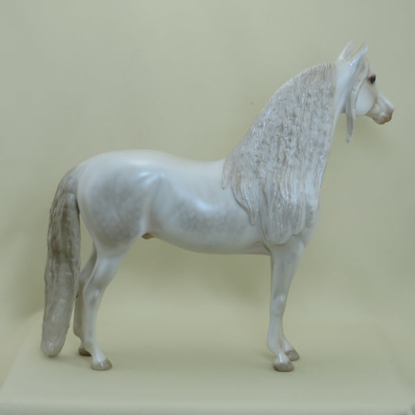 LUCK OF THE DRAW - OOAK Dapple Pearl White Morgan with Long Mane 4/15