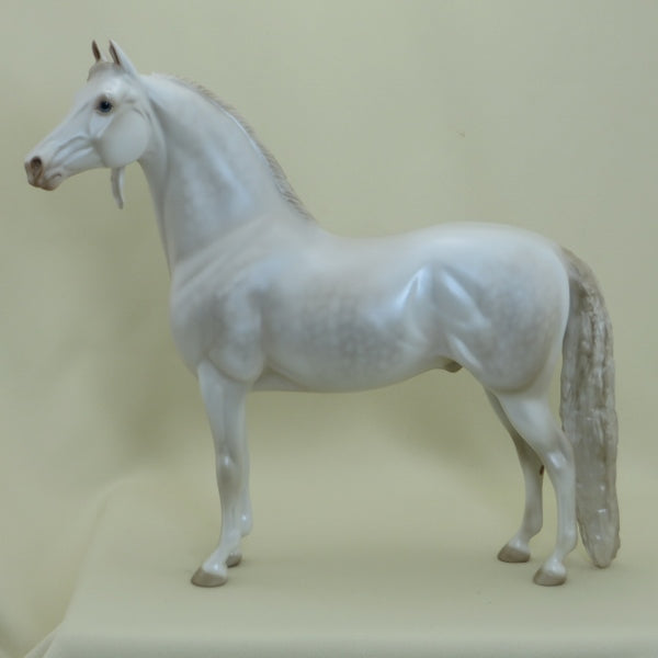 LUCK OF THE DRAW - OOAK Dapple Pearl White Morgan with Long Mane 4/15