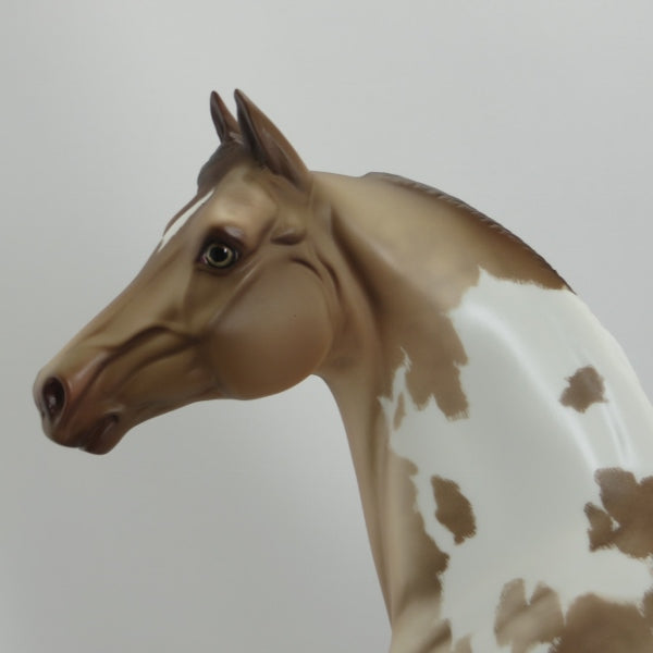 COMMADORE - OOAK Dapple Champagne Overo Pinto Morgan with Flowers by Sheryl Leisure - 5/15