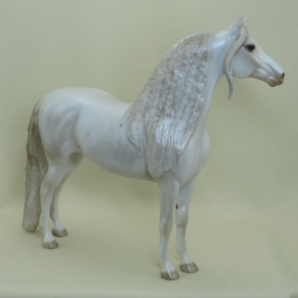 LUCK OF THE DRAW - OOAK Dapple Pearl White Morgan with Long Mane 4/15