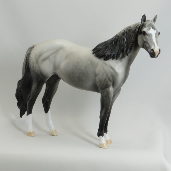 APPRECIATE HER - OOAK Dapple Gray Stock Horse - 5/15