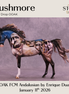 Rushmore OOAK FCM Andalusian by Enrique Duarte DDOOAKs26