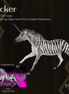 Flicker LE-5 EFCM Volo by Jess Hamill & Carissa Mathews EQ26