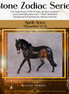 "Mesarthim" LE-15 FCM Pony By Ashley Palmer Zodiac Series: Aries ZS25