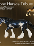 London LE-20 FCM Irish Cob by Julie Keim TS26