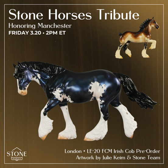 London LE-20 FCM Irish Cob by Julie Keim TS26