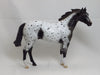 BLACK OR WHITE - OOAK Black Appaloosa 2//15