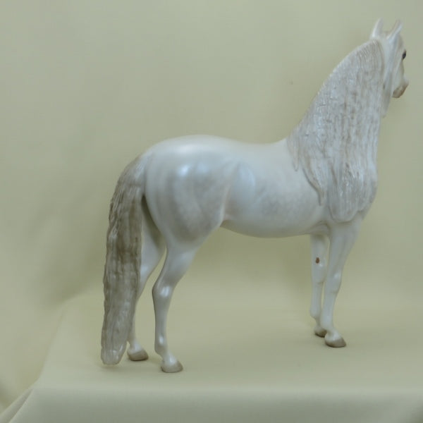 LUCK OF THE DRAW - OOAK Dapple Pearl White Morgan with Long Mane 4/15