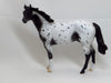 BLACK OR WHITE - OOAK Black Appaloosa 2//15