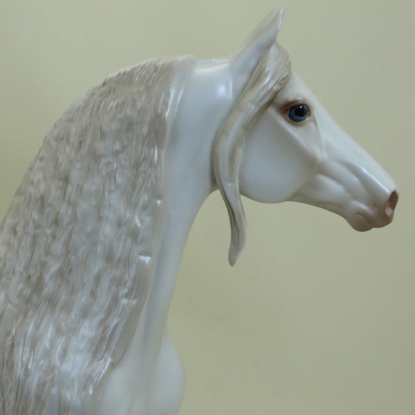 LUCK OF THE DRAW - OOAK Dapple Pearl White Morgan with Long Mane 4/15