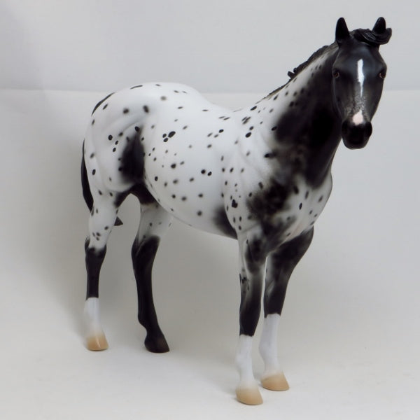 BLACK OR WHITE - OOAK Black Appaloosa 2//15