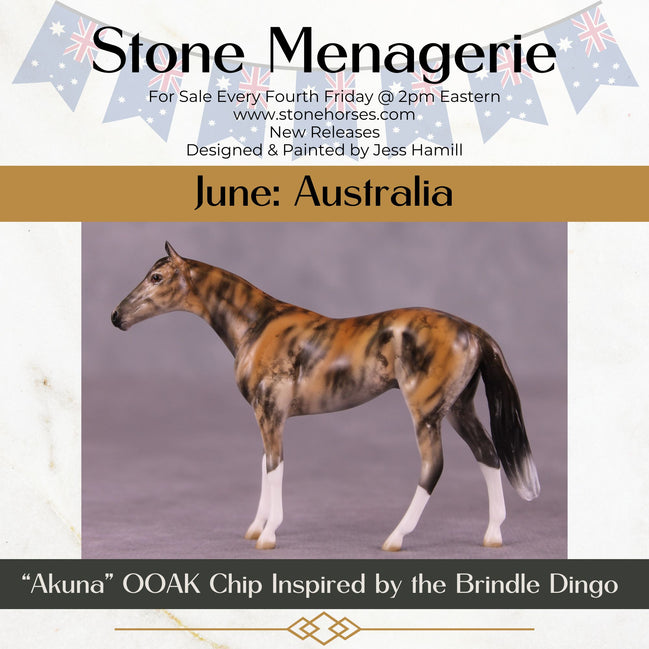 "Akuna" OOAK Thoroughbred Chip by Jess Hamill MS25