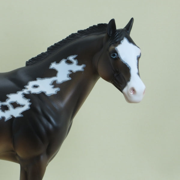 SCRABBLE - OOAK Seal Bay Paint Stock Horse with Mapping 4/15
