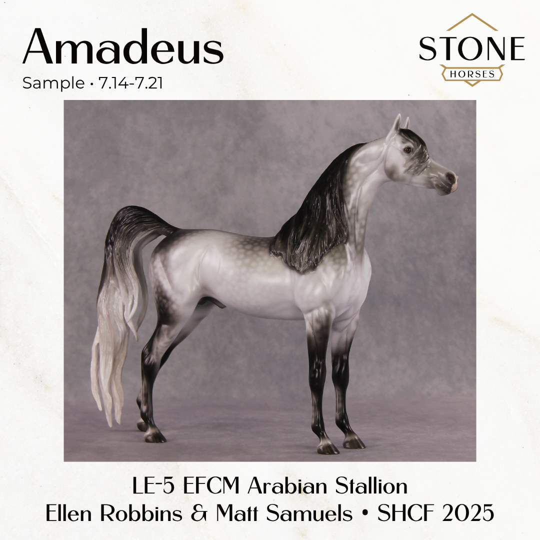 SAMPLE Amadeus LE-5 EFCM Arabian Stallion by Ellen Robbins &amp; Matt Samuels Best Offer 7.14.2026