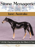 "Berri" OOAK Thoroughbred Chip by Jess Hamill MS25