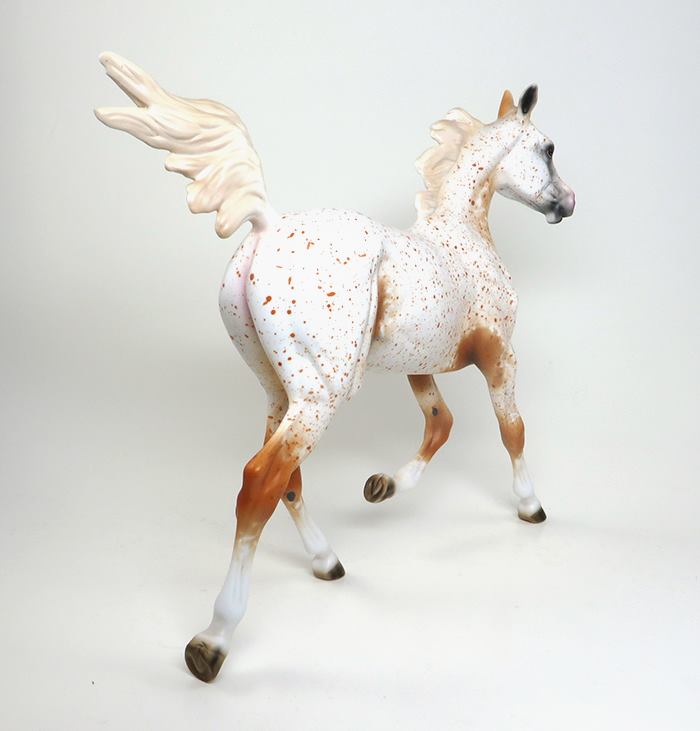 APPALOOSA 
