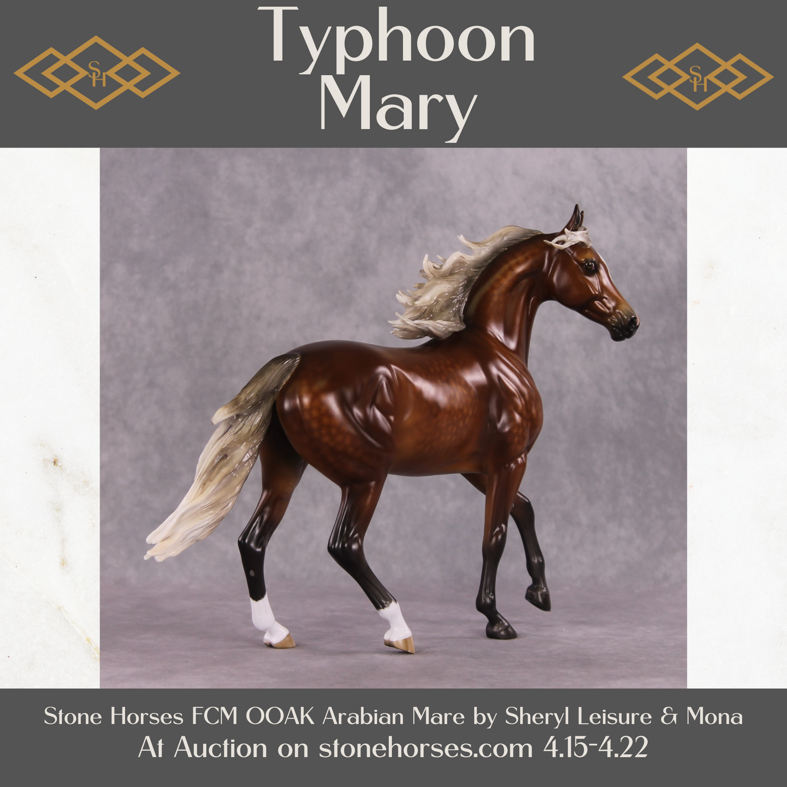 "Typhoon Mary" Best Offer FCM Arab Mare By Sheryl Leisure 04/22/2025