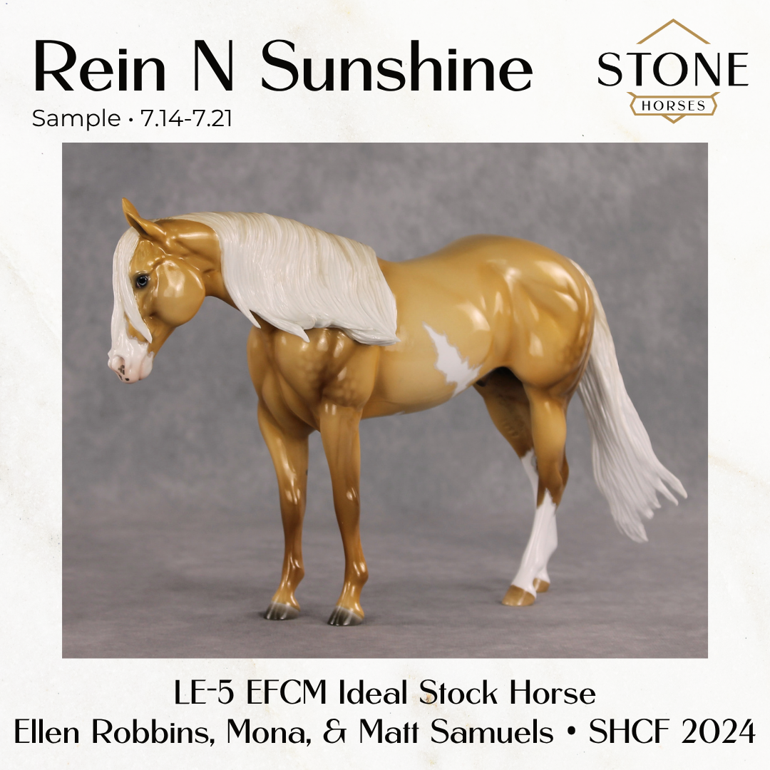 SAMPLE Rein N Sunshine LE-5 EFCM Ideal Stock Horse by Ellen Robbins, Mona, &amp; Matt Samuels Best Offer 7.14.2026