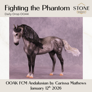 Fighting the Phantom OOAK FCM Andalusian by Carissa Mathews DDOOAKs26