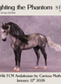 Fighting the Phantom OOAK FCM Andalusian by Carissa Mathews DDOOAKs26