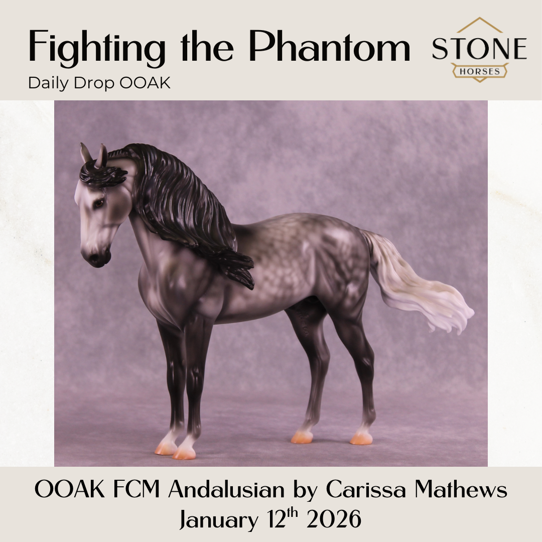 Fighting the Phantom OOAK FCM Andalusian by Carissa Mathews DDOOAKs26