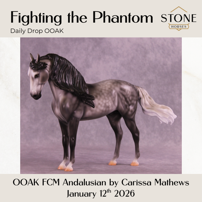 Fighting the Phantom OOAK FCM Andalusian by Carissa Mathews DDOOAKs26