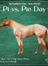Home Slice LE-5 Chip Stock Horse by Jess Hamill SCD26