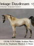 Vintage Daydream OOAK FCM Pebble Arabian Mare by Stephanie Blaylock & The Stone Horses Team GS26