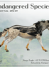 Harpy Eagle LE-5 FCM Remington by Enrique Duarte ES26