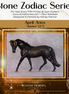 "Arietes" LE-5 EFCM Pony By Ashley Palmer Zodiac Series: Aries ZS25