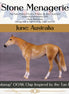 "Coodanup" OOAK Thoroughbred Chip by Jess Hamill MS25
