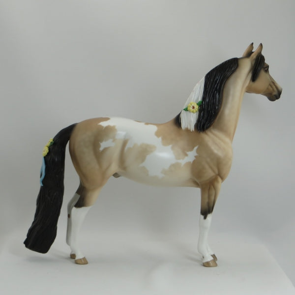 ESSEX - OOAK Dapple Buckskin Pinto Morgan with Flowers by Sheryl Leisure 5/15