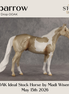 Sparrow OOAK Ideal Stock Horse by Madi Wiseman DDOOAKs26