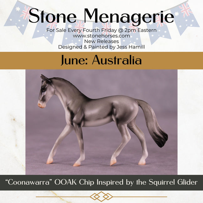 "Coonawarra" OOAK Warmblood Chip by Jess Hamill MS25
