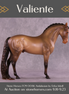 Valiente OOAK FCM Andalusian by Erika Isbell Best Offer 9/23/2025