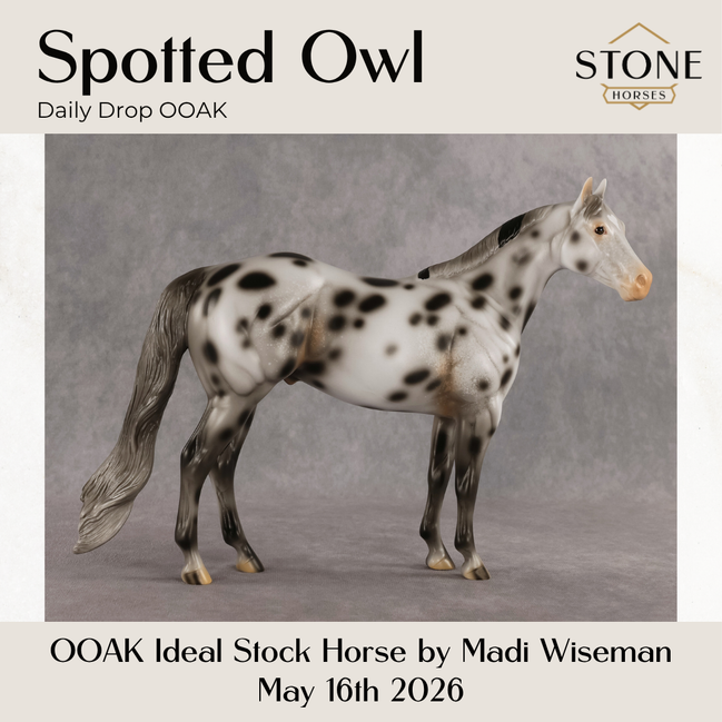 Spotted Owl OOAK Ideal Stock Horse by Madi Wiseman DDOOAKs26