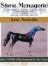 "Eneabba" OOAK Arabian Chip by Jess Hamill MS25